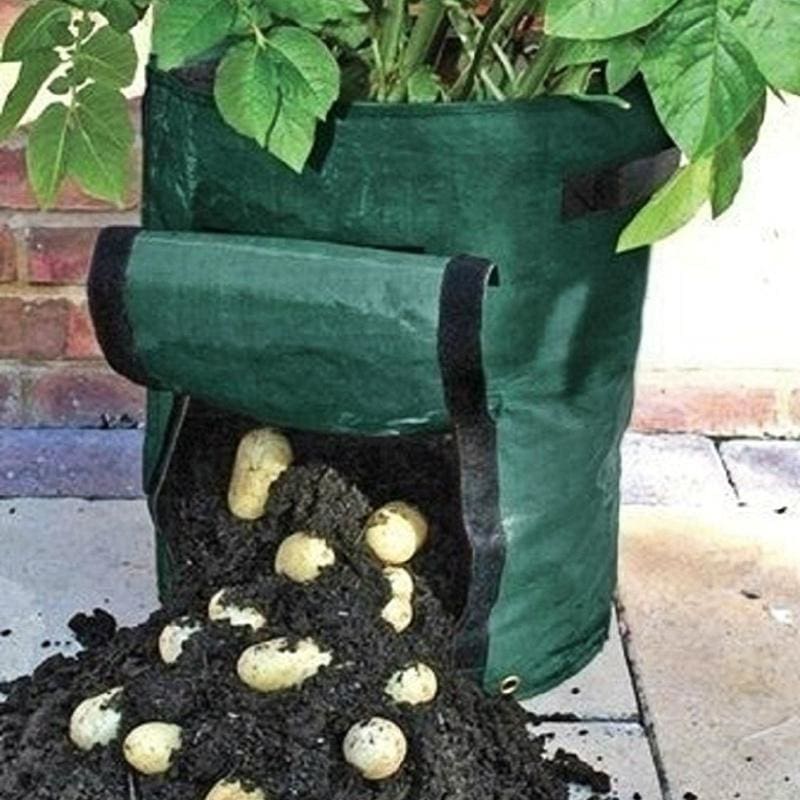 Bosmere Potato Planter Bag (1 bag) - Supplies