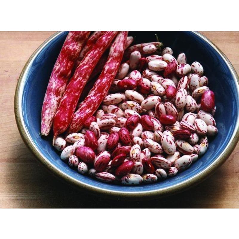 Vermont Cranberry Bush Dried Bean (Heirloom 85 Days)